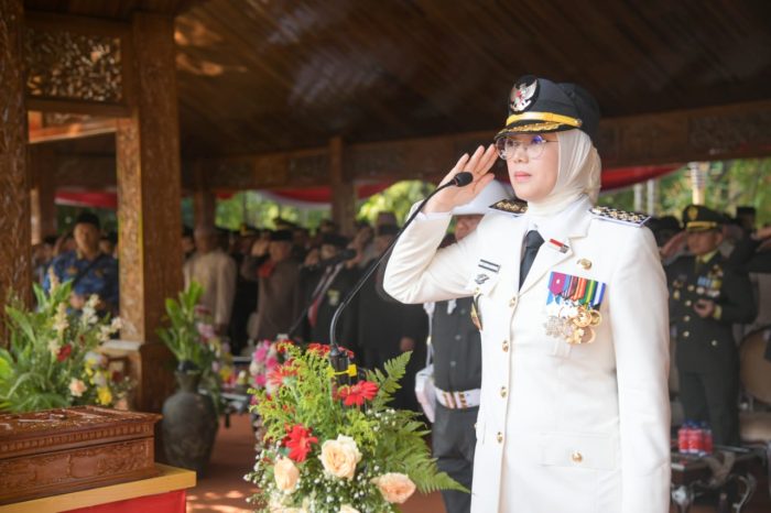 Periode Pertama Pimpin Purwakarta, Bupati Anne Raih 237 Penghargaan