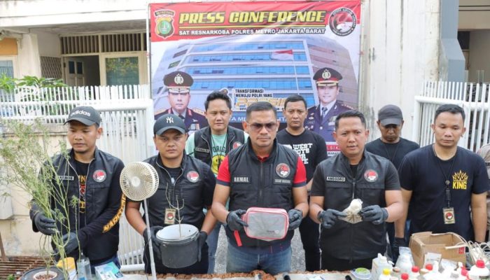 Tanam Ganja Hidroponik Didalam Lemari, Wanita Berprofesi Sebagai Pengisi SEO WEB Diringkus Satres Narkoba Polres Jakbar