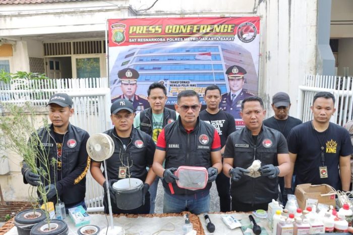 Tanam Ganja Hidroponik Didalam Lemari, Wanita Berprofesi Sebagai Pengisi SEO WEB Diringkus Satres Narkoba Polres Jakbar