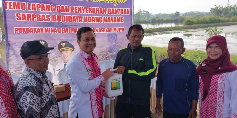 Kampung Perikanan Udang Vaname di Tetapkan Di Krapyak