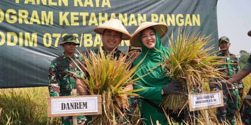 Panen Padi Perdana Protangguh di wilayah Batang Melimpah