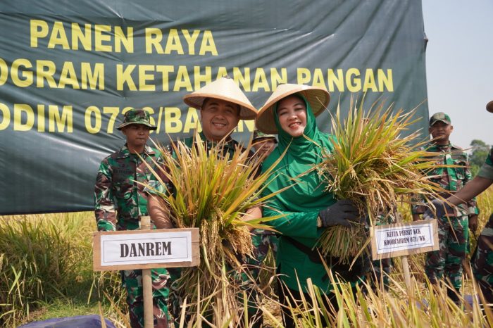 Panen Padi Perdana Protangguh di wilayah Batang Melimpah