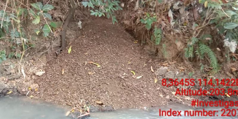 Pembuangan Limbah Kotoran Ayam di Kali Setail oleh Pengusaha di Genteng Perlu di Tindak Tegas