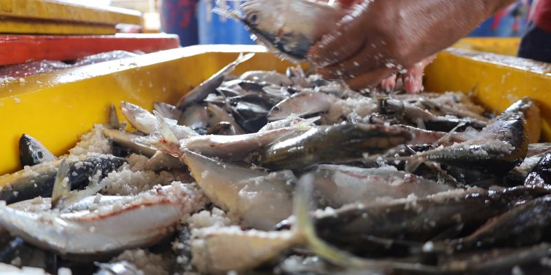 Perubahan Aturan Kapal, Nelayan Sesuaikan Regulasi Baru