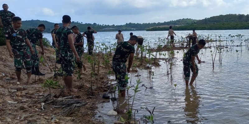 Peduli Keasrian Alam, Spotmar Lantamal IV Tanam Mangrove di Sei Gong Pulau Galang