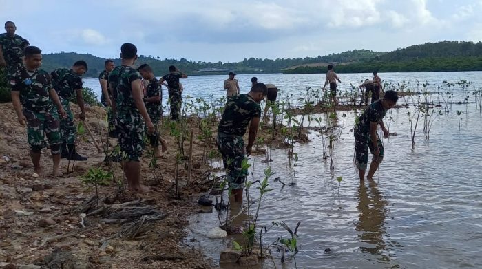 Peduli Keasrian Alam, Spotmar Lantamal IV Tanam Mangrove di Sei Gong Pulau Galang