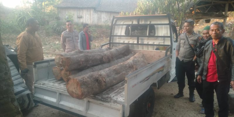 Petugas Serta Team Gabungan Amankan Barang Bukti Ilegal Logging