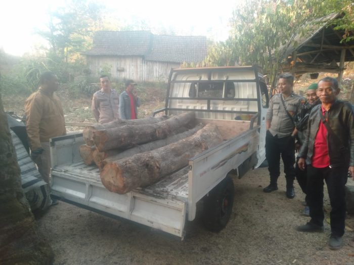 Petugas Serta Team Gabungan Amankan Barang Bukti Ilegal Logging