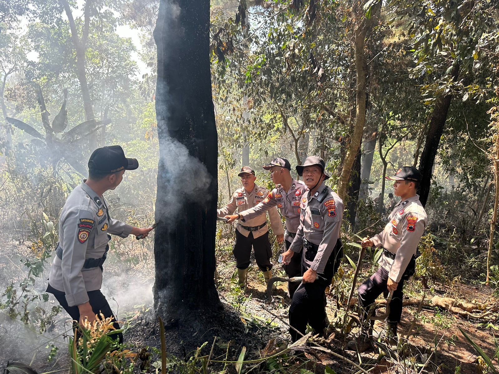 Polisi Bersama Petugas Gabungan Padamkan Kobaran Api Hutan Pinus Kalijoyo Pekalongan