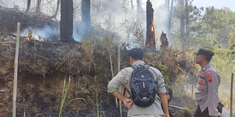 Hutan Petungkriyono Terbakar, Polisi dan Instansi Terkait Padamkan Api