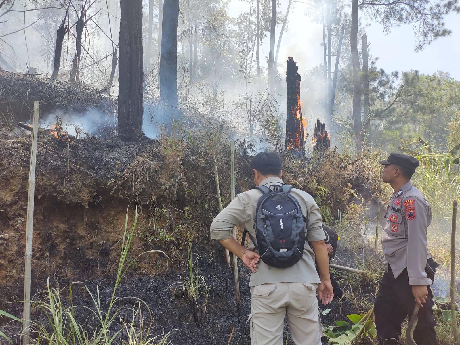 Hutan Petungkriyono Terbakar, Polisi dan Instansi Terkait Padamkan Api