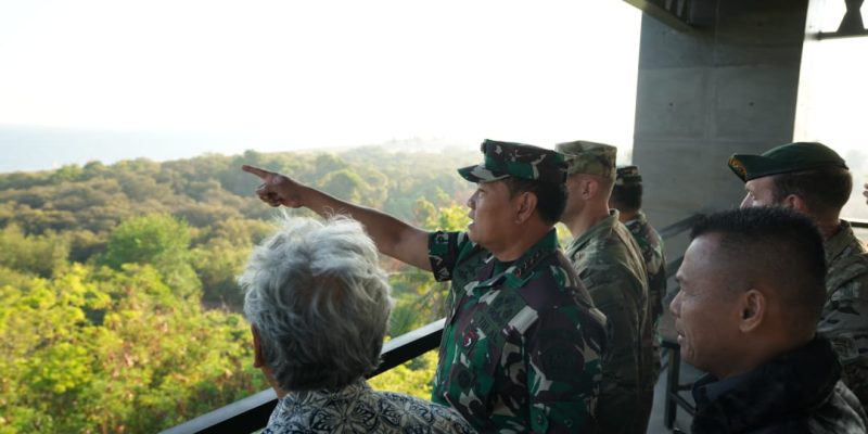 Danpuspenerbal Turut Dampingi Panglima TNI Tinjau Operasi Amfibi Latgabma SGS 2023