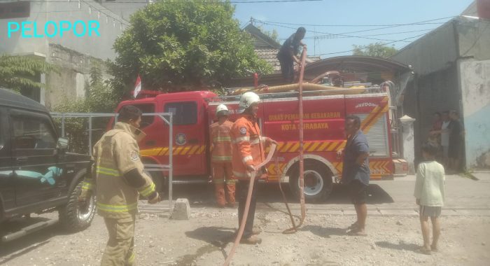 Waspada Kebakaran Lahan Kosong Di Musim Kemarau