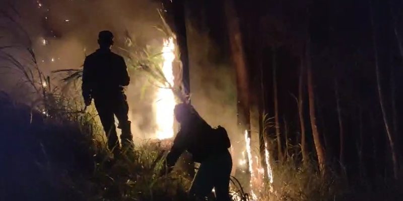 Polres Malang dan Tim Satgas Karhutla Berhasil Padamkan Kebakaran di Jabung
