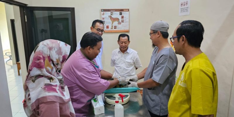 Vaksinasi Rabies Serentak Cetak Rekor MURI