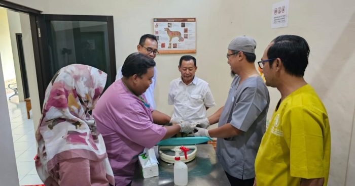 Vaksinasi Rabies Serentak Cetak Rekor MURI