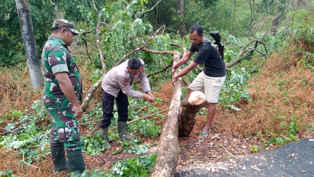 Quick Response, Anggota Polsek dan Koramil Kandangserang Evakuasi Pohon Tumbang