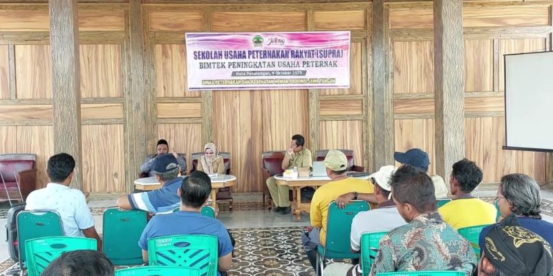 Belajar Peningkatan Usaha Ternak, Para Peternak Domba dan Kambing di Kota Pekalongan Lakukan ini