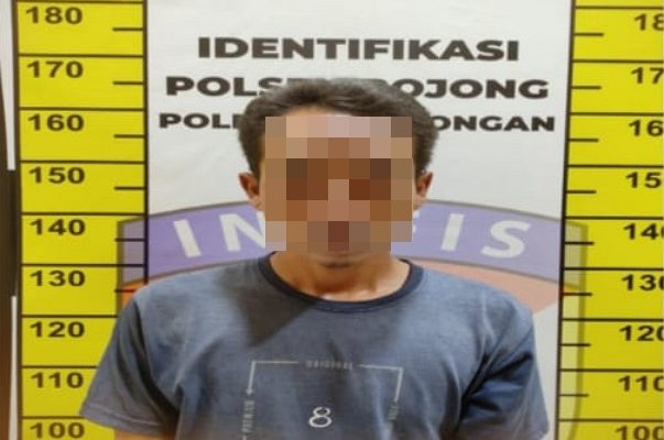 Nekat Curi 32 Ekor Burung Merpati, Warga Kajen Ditangkap Polisi