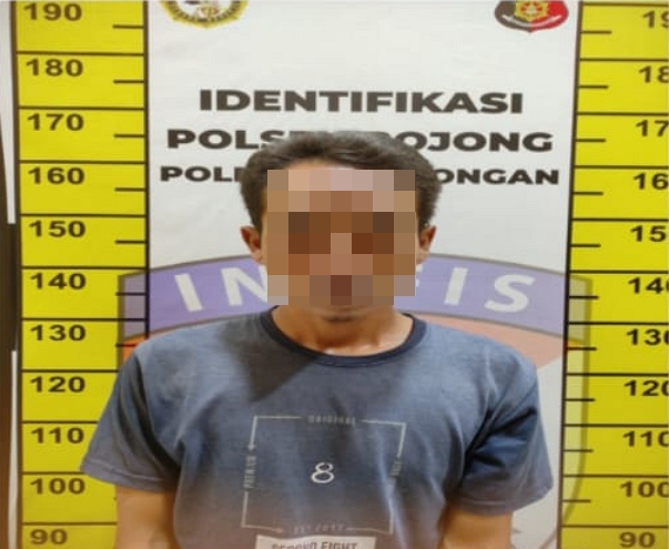 Nekat Curi 32 Ekor Burung Merpati, Warga Kajen Ditangkap Polisi