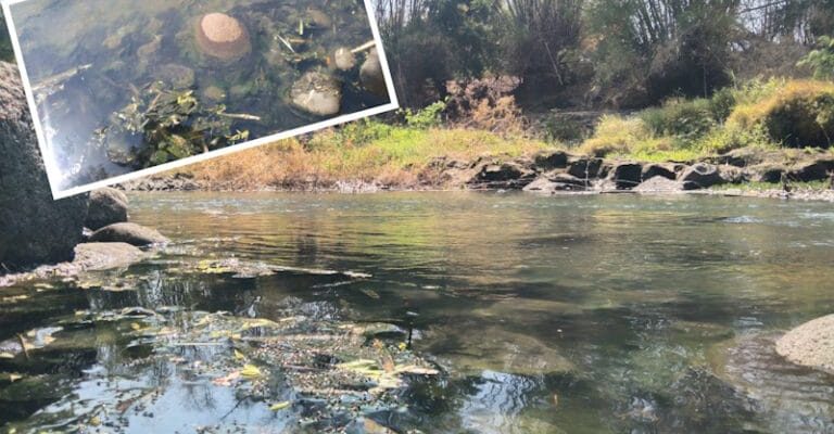 Sudah 3 Bulan Ratusan Warga Enggan ke Sungai, Selain Gatal, Bau Busuk Selalu Dirasakan Tiap Malam