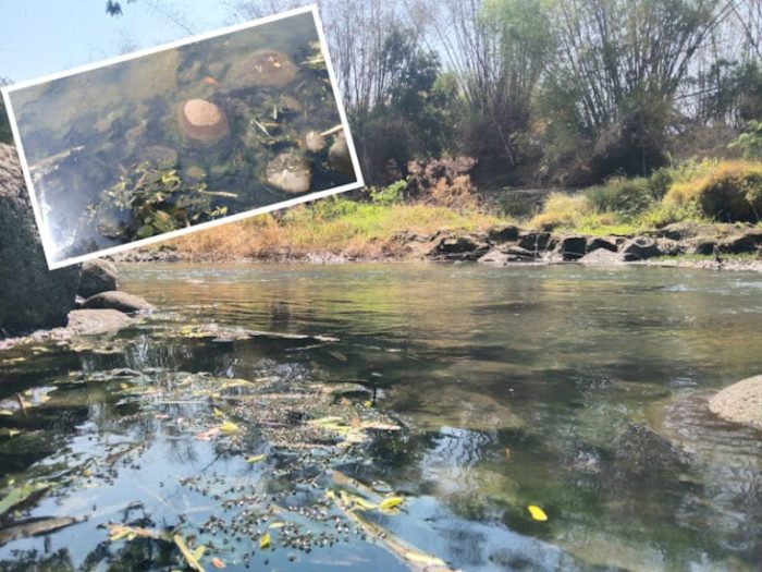 Sudah 3 Bulan Ratusan Warga Enggan ke Sungai, Selain Gatal, Bau Busuk Selalu Dirasakan Tiap Malam