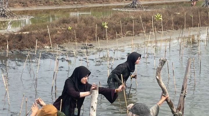 Gerakan Tanam Bakau Vokasi UI 2023 Menebar Harapan Dengan Penanaman