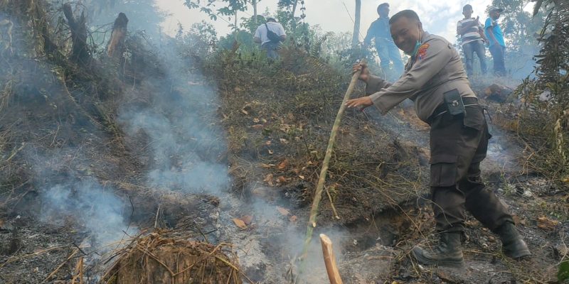 Sinergitas Polisi bersama TNI dan BPBD Padamkan Kebakaran di Perkebunan Gunung Terong Banyuwangi