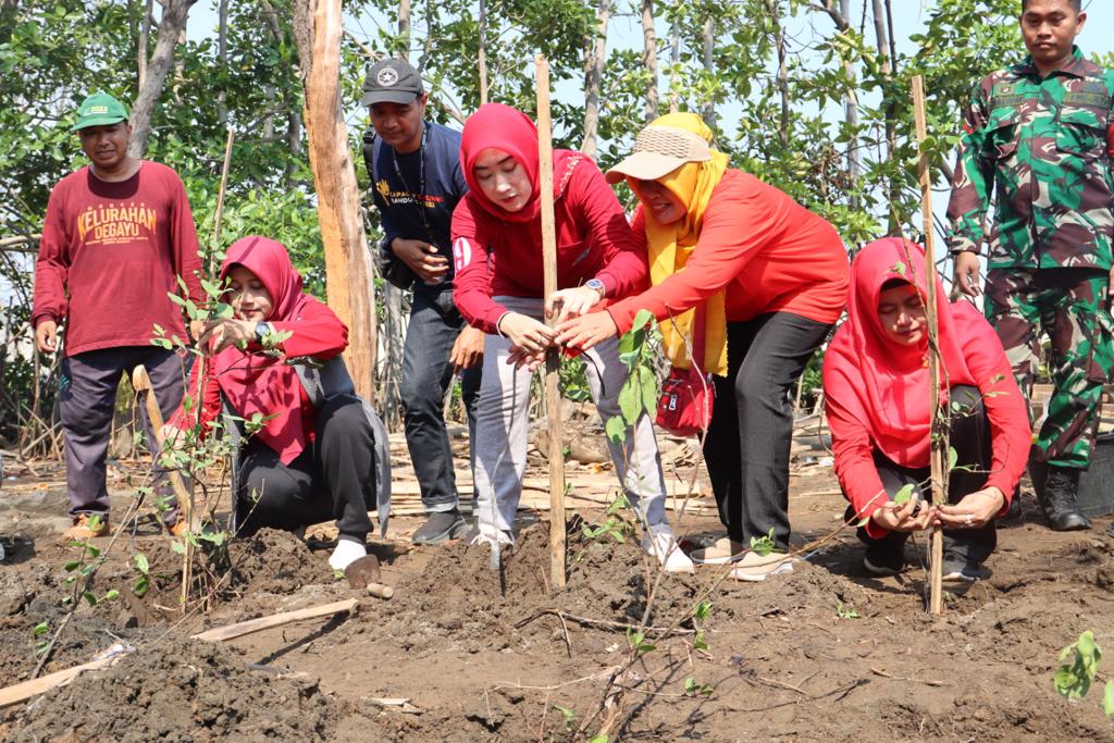 Peduli Lingkungan Atasi Abrasi, Pemkot Pekalongan Tanam 300 Bibit Mangrove