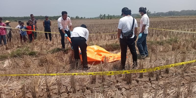 Seorang Mayat Laki-laki Tanpa Identitas Di Temukan Membusuk di Sawah
