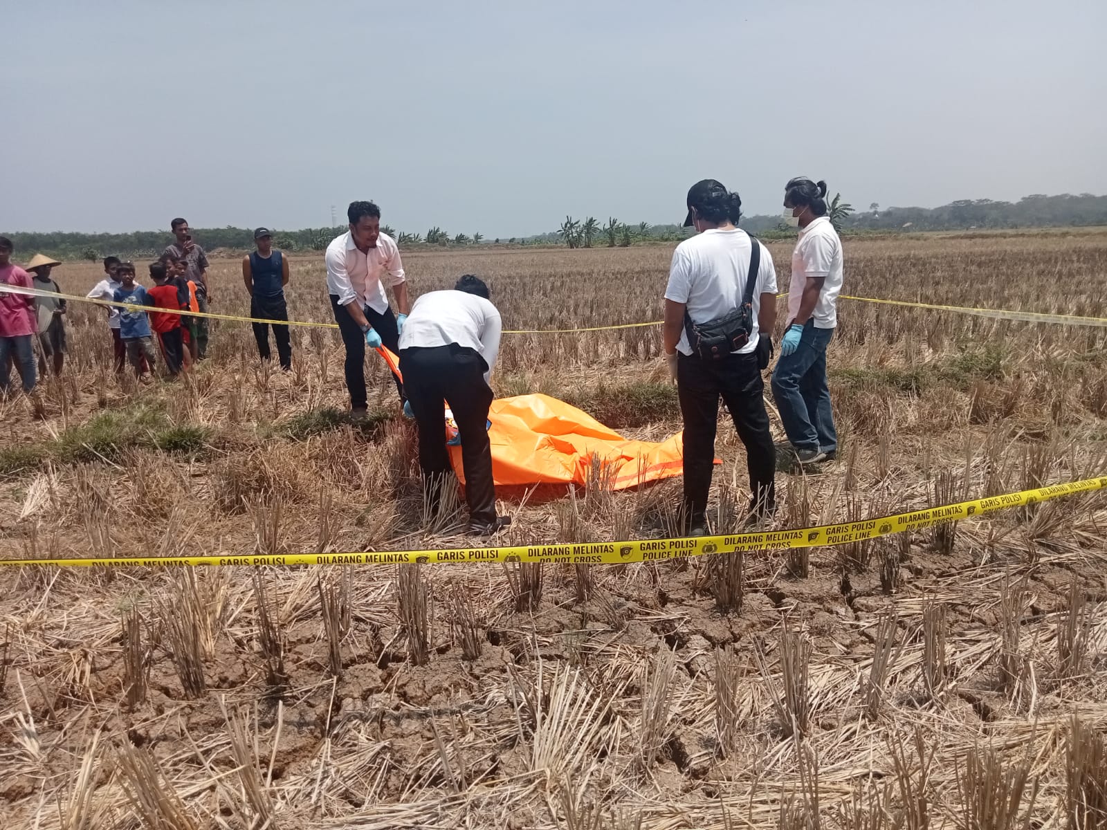 Seorang Mayat Laki-laki Tanpa Identitas Di Temukan Membusuk di Sawah