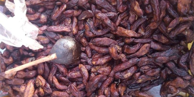 Pisang Sale Bekal Makanan Para Tentara Pejuang Aceh Saat Melawan Portugis, Belanda dan Jepang
