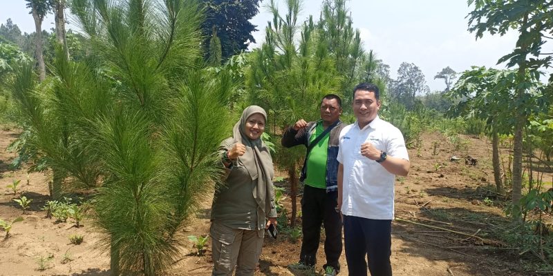 Kasi Utama Divre Jatim Melakukan Kunjungan Kerja, Berikut Keterangannya
