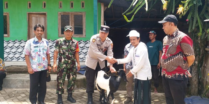 Babinsa Sertu Mulyono Dampingi Penyaluran Bantuan Ternak Kambing
