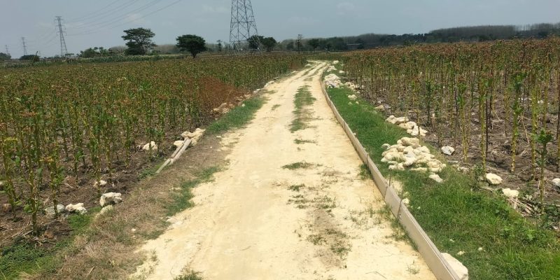 Diduga Tidak Sesuai Spesifikasi Pemadatan Jalan Pertanian di Dusun Ngaglik Desa Durikedungrejo