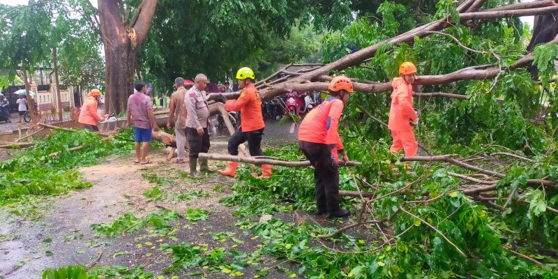 TNI-Polri bersama BPBD, PMI dan Warga Evakuasi Pohon Tumbang yang Menutupi Jalan