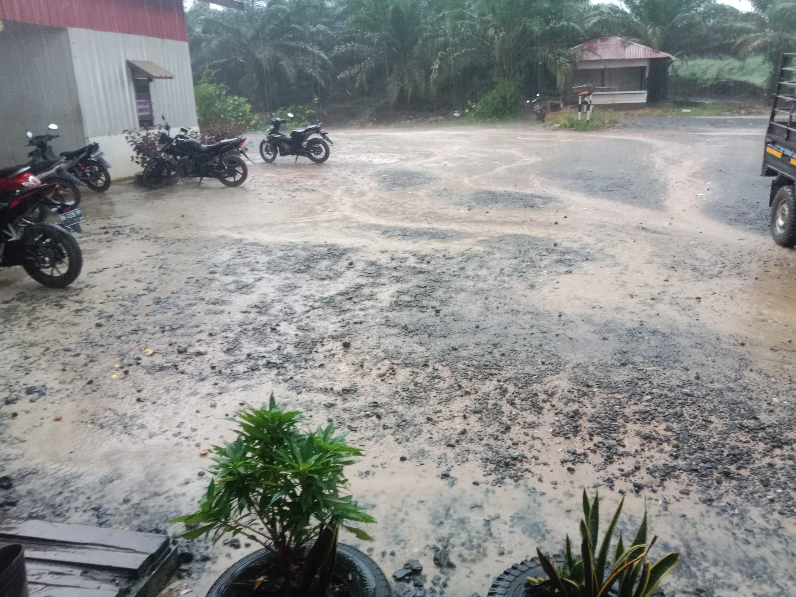 Info : untuk semua Mandor agar segera buat BKM hari ini Tgl. 14/11/2023 karena tutup buku. Agar di kros cek dgn Karyawan yg bersangkutan. Tks.