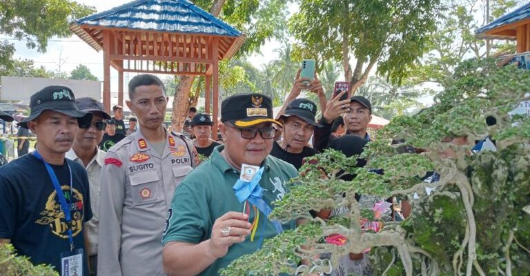 Pj Wali Kota Lubuklinggau H Trisco Defriansyah Menghadiri Pelaksanaan Kegiatan Event Jemur Dan Kontes Bonsai Lokal