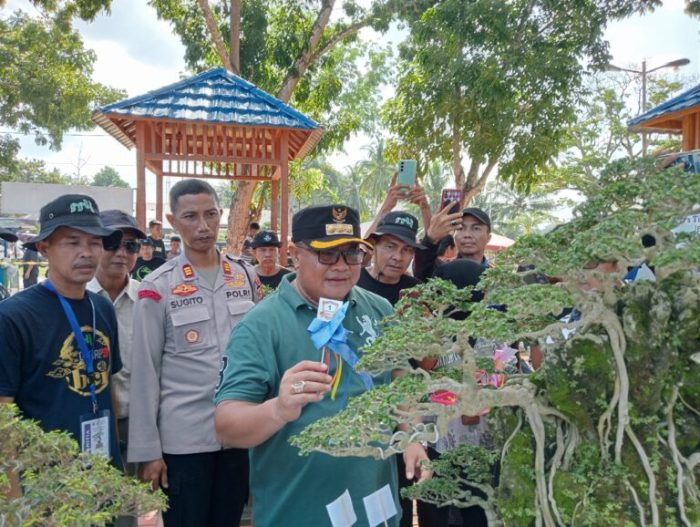 Pj Wali Kota Lubuklinggau H Trisco Defriansyah Menghadiri Pelaksanaan Kegiatan Event Jemur Dan Kontes Bonsai Lokal