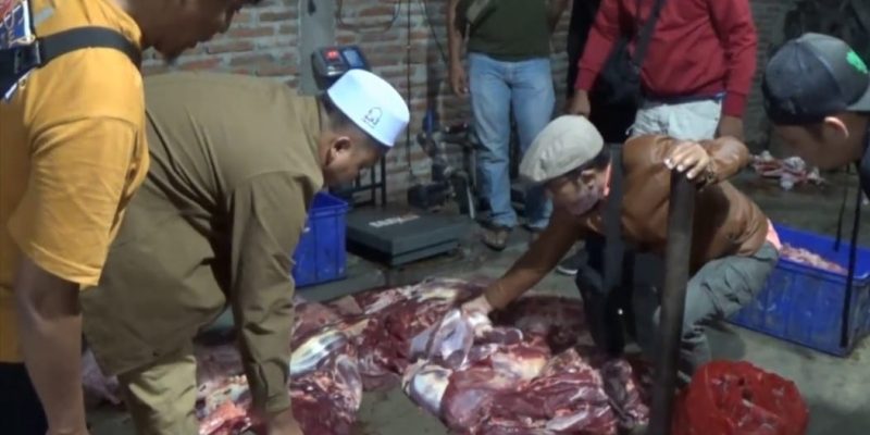Polres Magetan Berhasil Ungkap Daging Sapi Gelonggongan, Terduga Pelaku  Diamankan
