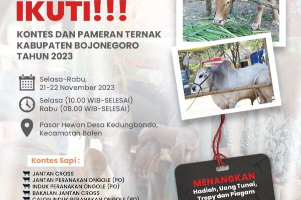 Pemkab Bojonegoro Akan Gelar Kontes dan Pameran Ternak Sapi, Dorong Pengembangkan Peternakan Modern