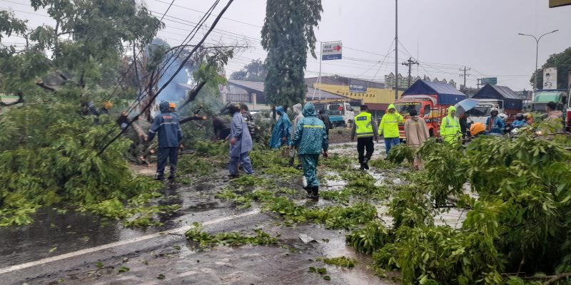 Kapolsek Batang Kota : Pohon Tumbang, Petugas Bergerak Cepat Atasi Tumpukan Ranting