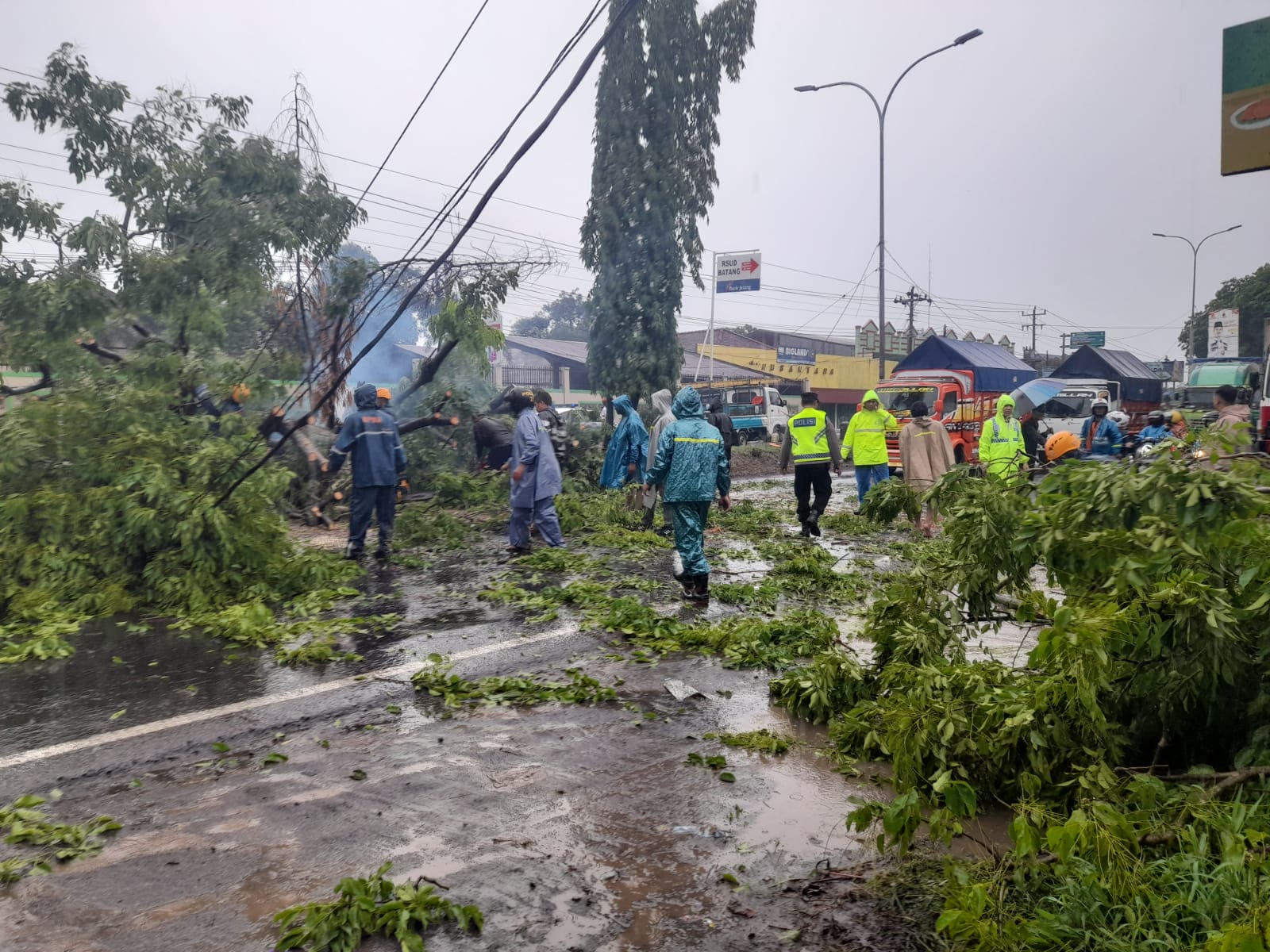 Kapolsek Batang Kota : Pohon Tumbang, Petugas Bergerak Cepat Atasi Tumpukan Ranting