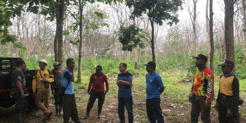 Pehutani KPH Bondowoso Laksanakan Uji Cutting Test, Berikut Keterangan ADM