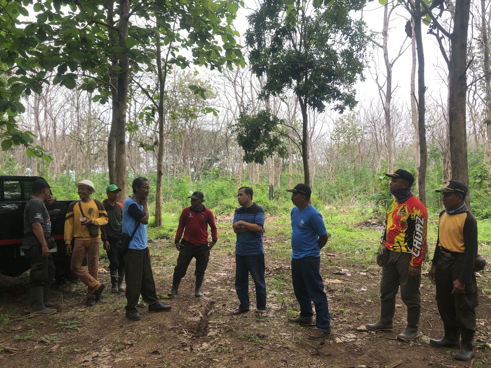 Pehutani KPH Bondowoso Laksanakan Uji Cutting Test, Berikut Keterangan ADM