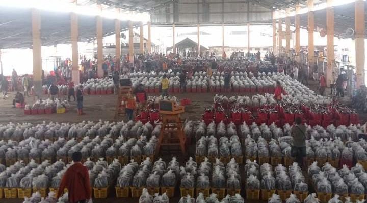 TPI Kota Pekalongan Optimalkan Pemasaran Ikan Tangkapan Nelayan