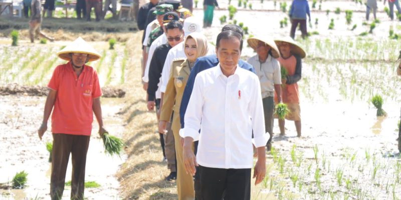 5 Lokasi Agenda Kunker Presiden Jokowi di Kabupaten Pekalongan