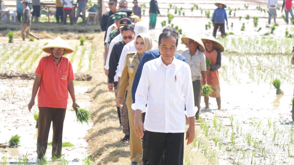 5 Lokasi Agenda Kunker Presiden Jokowi di Kabupaten Pekalongan