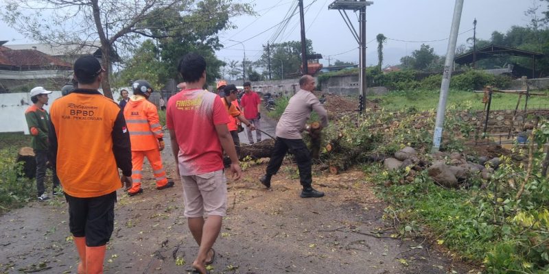 Bhabinkamtibmas Bersama BPBD dan Warga Evakuasi Pohon Tumbang