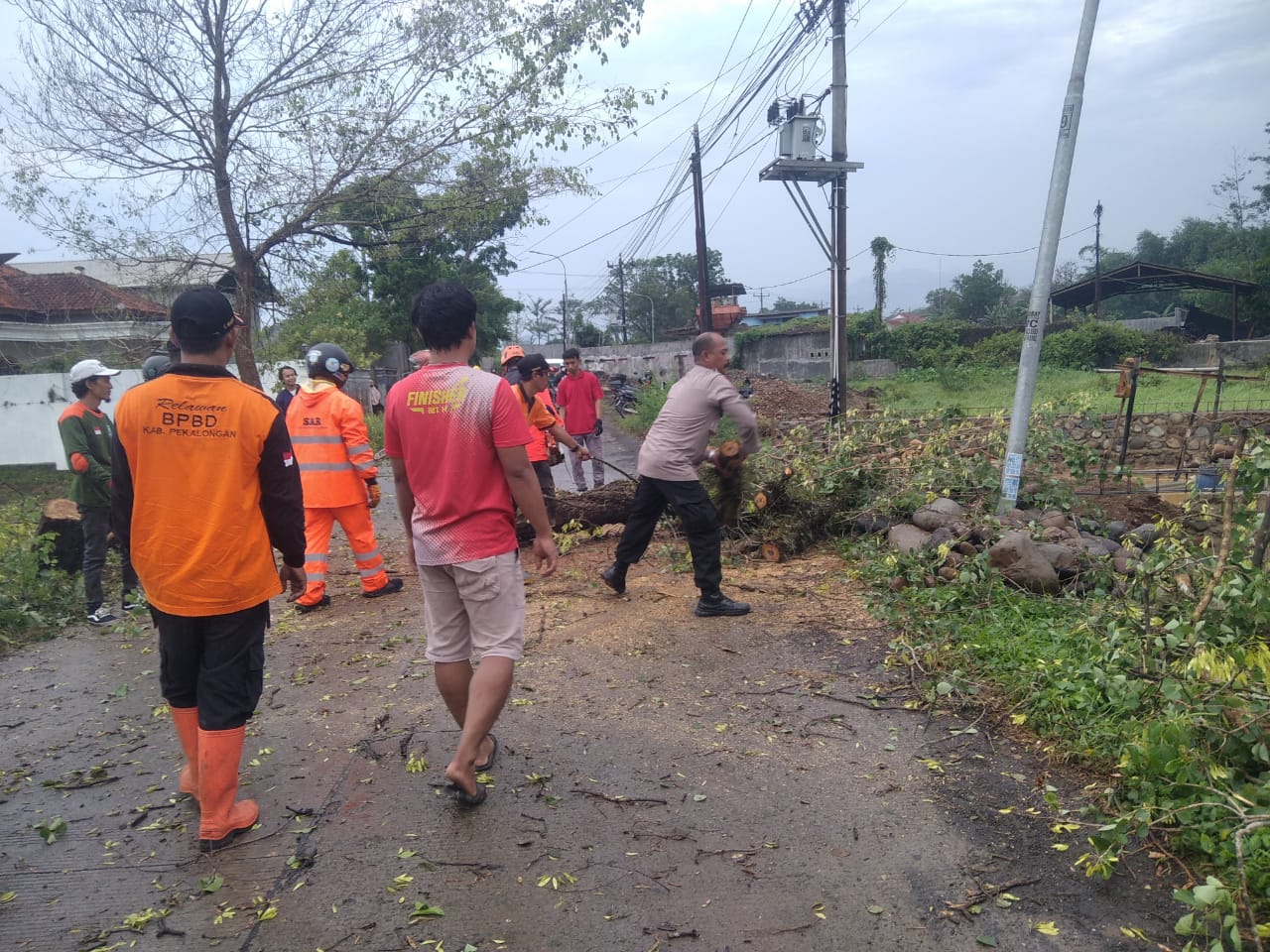 Bhabinkamtibmas Bersama BPBD dan Warga Evakuasi Pohon Tumbang